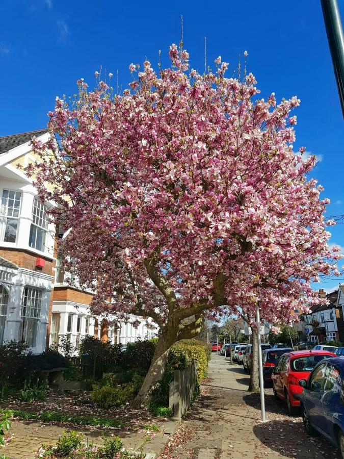 Kew Gardens - Private Double Room Richmond London - Homestay Exterior foto
