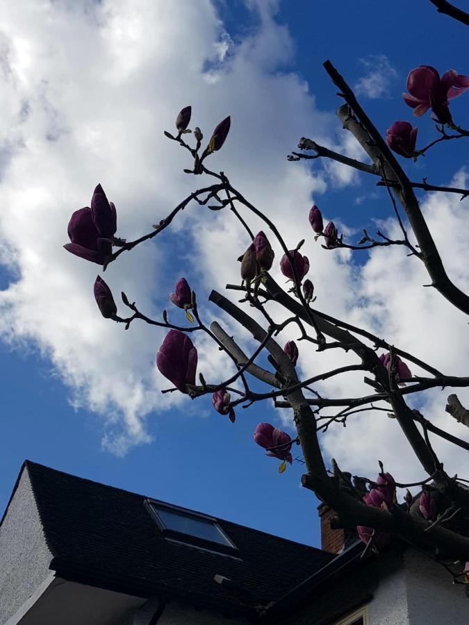 Kew Gardens - Private Double Room Richmond London - Homestay Exterior foto
